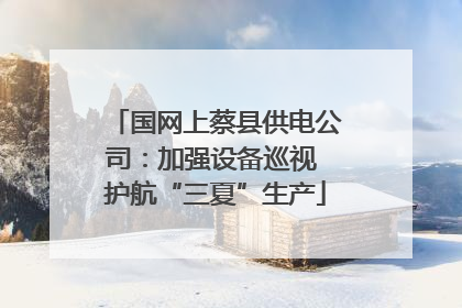 国网上蔡县供电公司：加强设备巡视 护航“三夏”生产