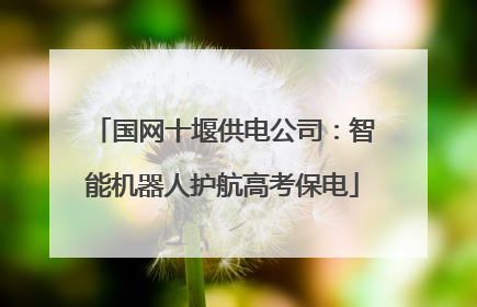 国网十堰供电公司：智能机器人护航高考保电