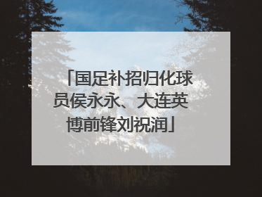 国足补招归化球员侯永永、大连英博前锋刘祝润