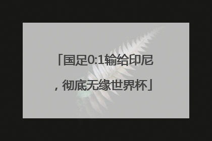 国足0:1输给印尼，彻底无缘世界杯