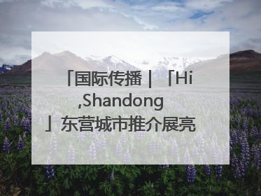 国际传播｜「Hi,Shandong」东营城市推介展亮相“从蒙马特到加里波第”文化节