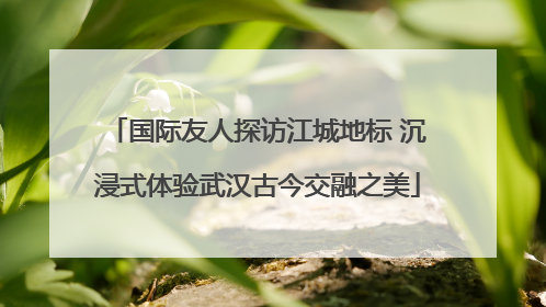 国际友人探访江城地标 沉浸式体验武汉古今交融之美