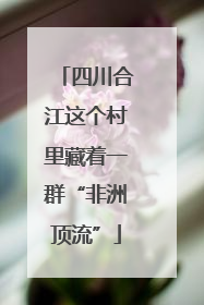 四川合江这个村里藏着一群“非洲顶流”