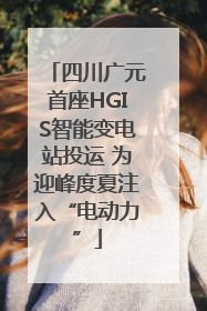 四川广元首座HGIS智能变电站投运 为迎峰度夏注入“电动力”