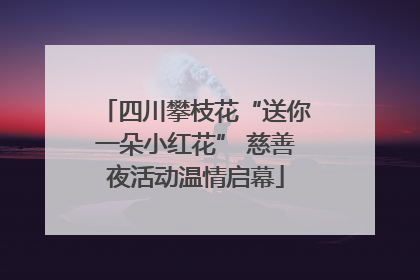四川攀枝花“送你一朵小红花” 慈善夜活动温情启幕