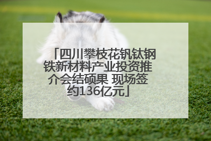四川攀枝花钒钛钢铁新材料产业投资推介会结硕果 现场签约136亿元