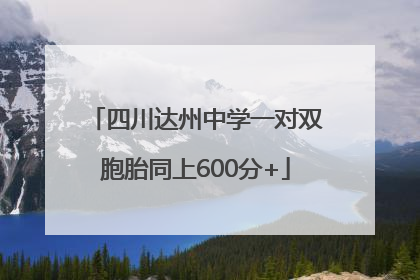 四川达州中学一对双胞胎同上600分+