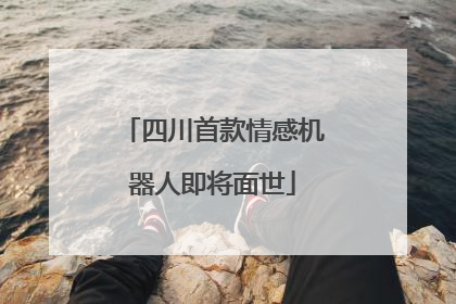 四川首款情感机器人即将面世