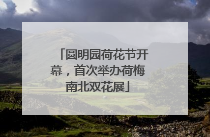 圆明园荷花节开幕，首次举办荷梅南北双花展