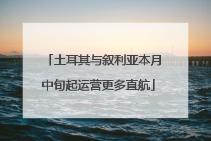 土耳其与叙利亚本月中旬起运营更多直航