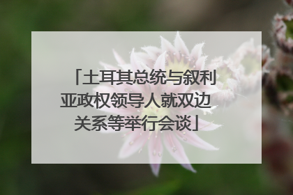 土耳其总统与叙利亚政权领导人就双边关系等举行会谈