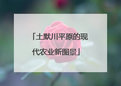 土默川平原的现代农业新图景
