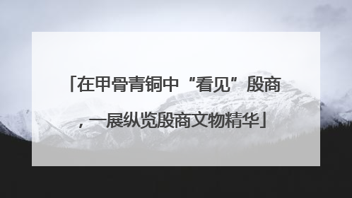 在甲骨青铜中“看见”殷商，一展纵览殷商文物精华