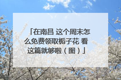 在南昌 这个周末怎么免费领取栀子花 看这篇就够啦（图）