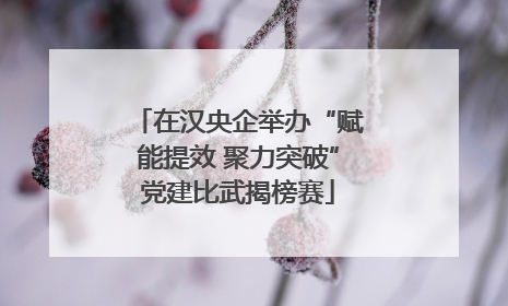 在汉央企举办“赋能提效 聚力突破”党建比武揭榜赛
