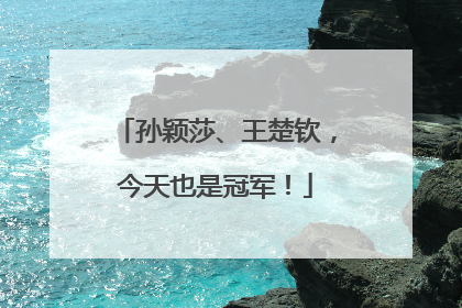 孙颖莎、王楚钦，今天也是冠军！