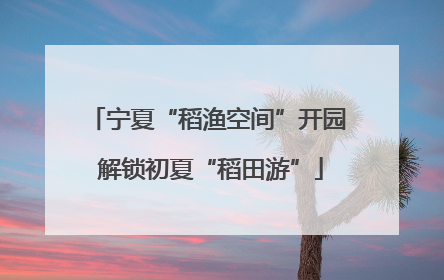 宁夏“稻渔空间”开园 解锁初夏“稻田游”