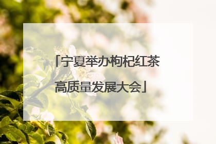 宁夏举办枸杞红茶高质量发展大会