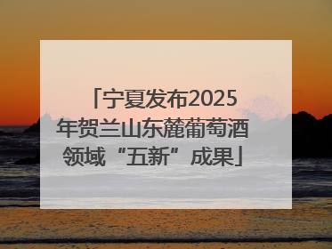 宁夏发布2025年贺兰山东麓葡萄酒领域“五新”成果