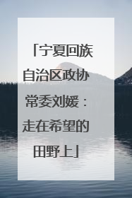 宁夏回族自治区政协常委刘媛：走在希望的田野上