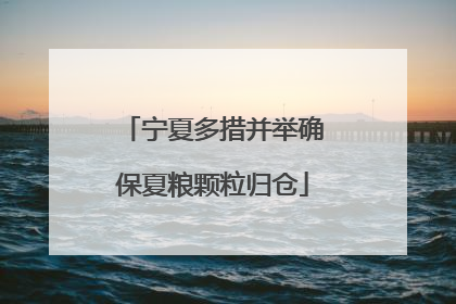 宁夏多措并举确保夏粮颗粒归仓