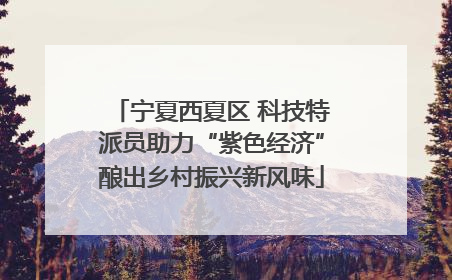 宁夏西夏区 科技特派员助力“紫色经济”酿出乡村振兴新风味
