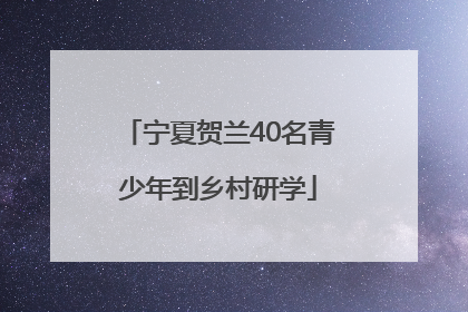 宁夏贺兰40名青少年到乡村研学
