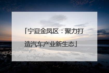宁夏金凤区：聚力打造汽车产业新生态