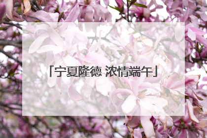 宁夏隆德 浓情端午