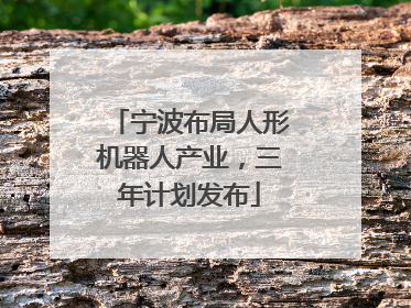 宁波布局人形机器人产业，三年计划发布