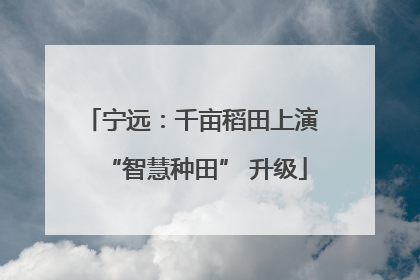 宁远：千亩稻田上演 “智慧种田” 升级