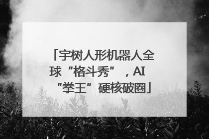 宇树人形机器人全球“格斗秀”，AI“拳王”硬核破圈