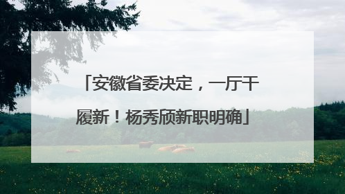 安徽省委决定，一厅干履新！杨秀颀新职明确