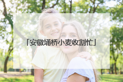安徽埇桥小麦收割忙