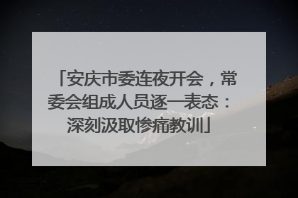 安庆市委连夜开会，常委会组成人员逐一表态：深刻汲取惨痛教训