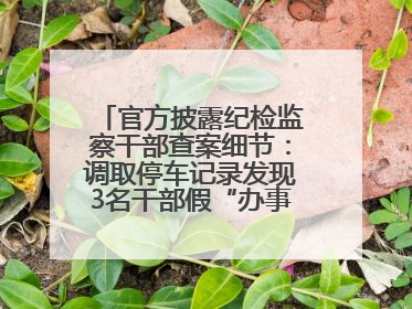 官方披露纪检监察干部查案细节：调取停车记录发现3名干部假“办事”真麻将