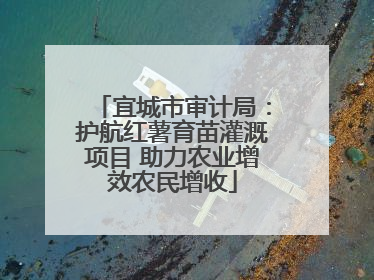 宜城市审计局：护航红薯育苗灌溉项目 助力农业增效农民增收