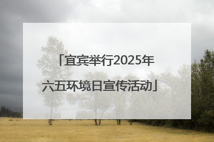 宜宾举行2025年六五环境日宣传活动