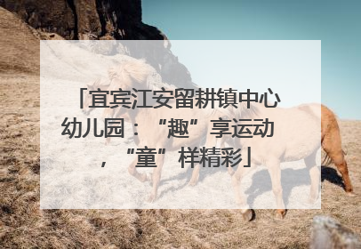 宜宾江安留耕镇中心幼儿园：“趣”享运动，“童”样精彩