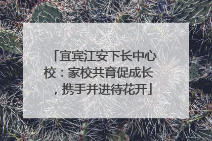 宜宾江安下长中心校：家校共育促成长，携手并进待花开