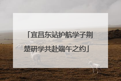 宜昌东站护航学子荆楚研学共赴端午之约