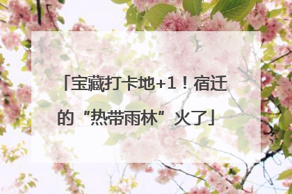 宝藏打卡地+1！宿迁的“热带雨林”火了