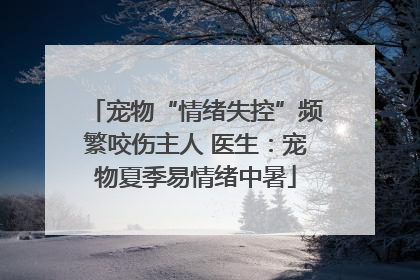 宠物“情绪失控”频繁咬伤主人 医生：宠物夏季易情绪中暑