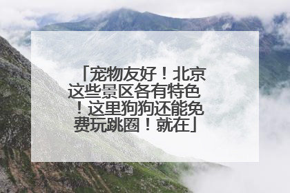 宠物友好！北京这些景区各有特色！这里狗狗还能免费玩跳圈！就在