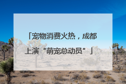 宠物消费火热，成都上演“萌宠总动员”