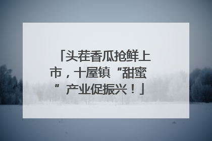 头茬香瓜抢鲜上市，十屋镇“甜蜜”产业促振兴！
