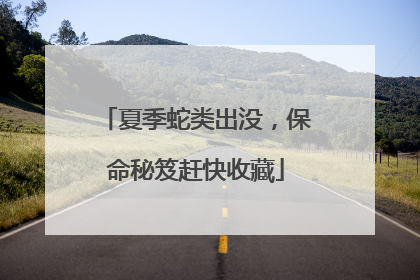 夏季蛇类出没，保命秘笈赶快收藏