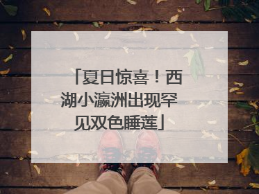 夏日惊喜！西湖小瀛洲出现罕见双色睡莲