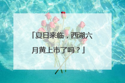 夏日来临，西湖六月黄上市了吗？