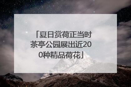 夏日赏荷正当时 茶亭公园展出近200种精品荷花